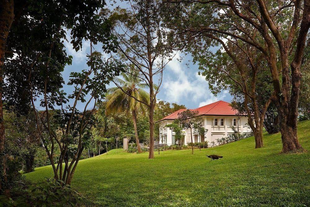 Capella The Club Residences Aparthotel